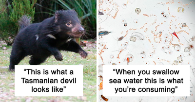 32 Scientists Share That “One Science Fact” They Wish The Whole World Would Know