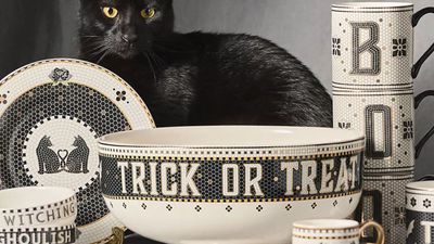 Anthropologie has nailed chic Halloween tableware with its latest drop – I predict a sell-out in days, not weeks