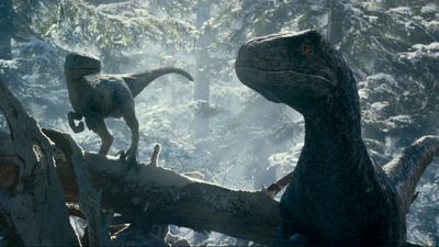Jurassic World Rebirth fans are debating the fates of fan-favourites Blue and Rexy after the new movie reveals dinosaurs have almost died out again