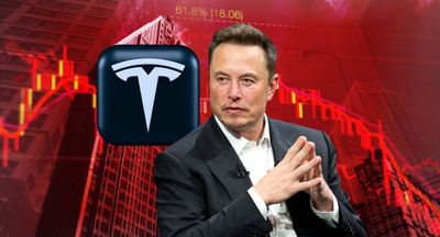 Musk Political Push To Hurt Tesla Stock: 71% Say Stock Will Fall In Next 12 Months