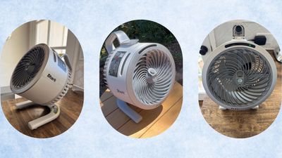 Shark’s viral misting fan is sold out everywhere, but I found it in stock and on sale
