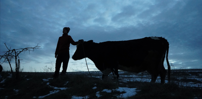 Sound recordings can give us an animal-eye view of the war in Ukraine