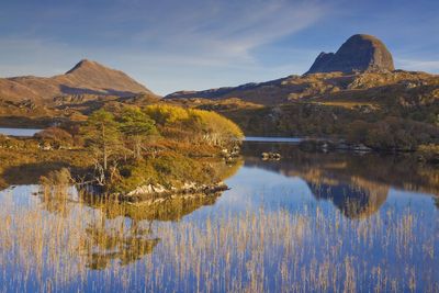 Thousands of acres of new native woods planned for Highlands community estate