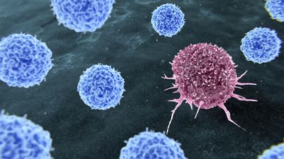 Scientists 3D print tumors for cancer research — TissueTinker using 3D bioprinting to create miniature models of healthy and diseased tissue for side-by-side comparison, backed by McGill
