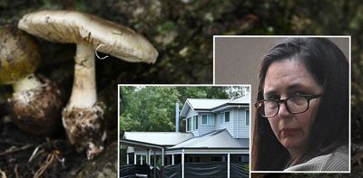 Several books on the mushroom trial are already cooking. What are the risks and rewards of fast books on big news?‘