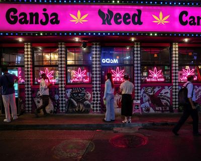 Haze of confusion in Thailand as government flips on cannabis law