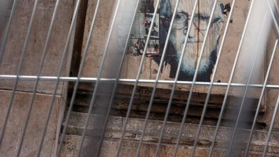 Twelve new accusers say French priest Abbé Pierre sexually abused them