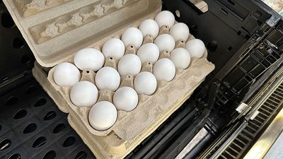 Trump administration sues California over egg prices, blames red tape