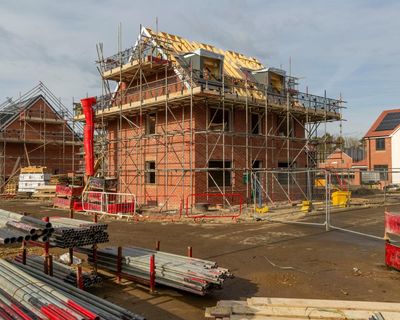 Labour housing plans could destroy 215,000 hectares of nature in England, analysis shows
