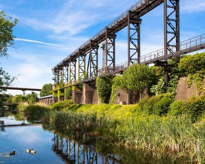 ‘It was filthy and it stank terribly’: how Europe’s dirtiest river was brought back to life