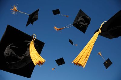 Grand theft graduate jobs: is AI stealing all the entry-level roles?