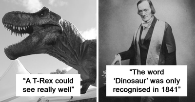 “Dinosaurs Didn’t Roar”: 35 Dinosaur Facts You Probably Never Heard Before