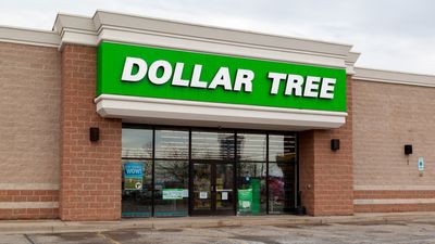 21 Things To Buy at Dollar Tree This Summer If You Live on Social Security