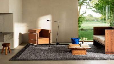 I Really Think That Flat Weave Rugs Feel Basic — This Alternative Style Brings So Much More Design Impact to Your Living Room