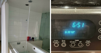 This Online Group Is Dedicated To ‘Mildly Interesting’ Stuff, And Here Are Their 49 Best Posts (New Pics)