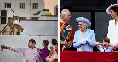 Here Are The Best 25 Pics Of 2023, As Shared By Siena International Photo Awards