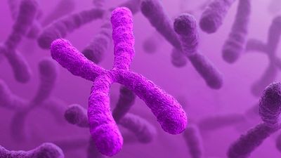 Ultragenyx, Mereo Hammered For Their Surprise Miss In Brittle Bone Disease