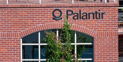 Palantir Slips. Bull Points To 'Bears In The Hibernation Cave'