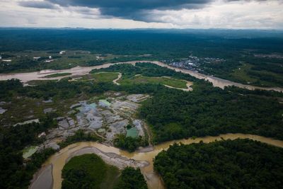 Over 90 arrests made in global crackdown on environmental crime in the Amazon Basin