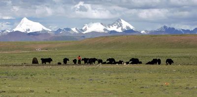 How China’s green transition is reshaping ethnic minority communities