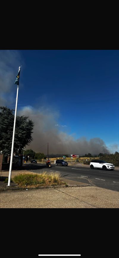 Wildfire spreads across 10 hectares as 80 firefighters battle major blaze in east London