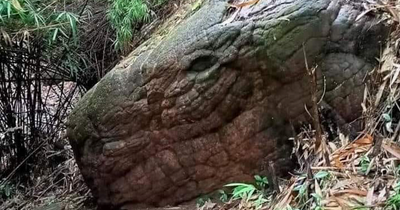 30 Times People Spotted A Face In An Everyday Thing And Just Had To Share It In This Online Group