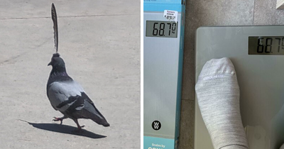 This Online Group Is Dedicated To ‘Mildly Interesting’ Stuff, And Here Are Their 48 Best Posts