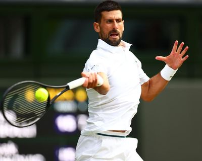Djokovic’s dilemma: can he really beat Sinner and Alcaraz in same grand slam?