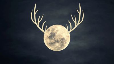 July full moon 2025 rises tonight: Everything you need to know about the low-riding 'Buck Moon'