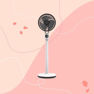 The whisper-quiet Meaco pedestal fan is flying under the radar – but it's still in stock and has next-day delivery