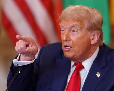 Trump picks former Sydney councillor and self-described ‘alpha male’ Nick Adams as US ambassador for Malaysia