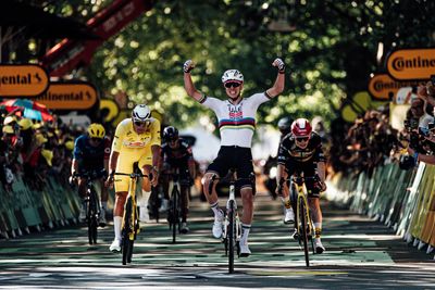 Key moments from the Tour de France so far in pictures