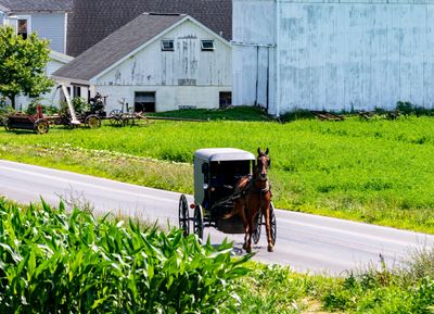 9 Survival Essentials the Amish Always Keep—Do You Have Them?