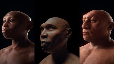 Stunning facial reconstructions of 'hobbit,' Neanderthal and Homo erectus bring human relatives to life