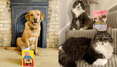 Celebrate Your Adopted Pet’s Gotcha Day With One Of These Cute (And Free) Cards