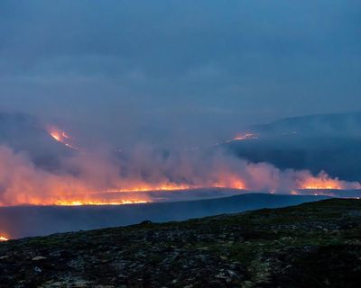 Country diary: The utter shock of seeing wildfire devastation up close