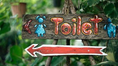 Are you ready for a gross gardening hack? Discover how taking a pee can power up your plants