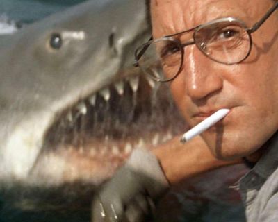 Jaws to Oppenheimer: the seven best films to watch on TV this week
