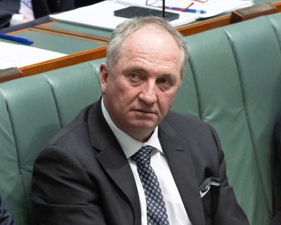 Barnaby Joyce vows to wind back ‘lunatic crusade’ of net zero with private member’s bill