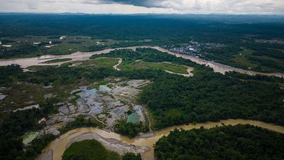 ‘Crimes against nature and people’: How a global crackdown in the Amazon unfolded