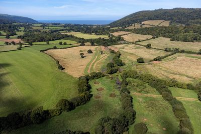 National Trust to cut 550 staff in bid to slash wage bill following tax hikes