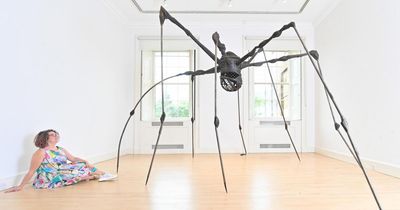 Gallery draws in visitors with 3ft spider and new artist rooms
