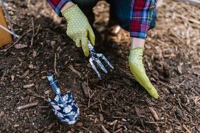 10 Hidden Dangers Lurking in Your Backyard Mulch