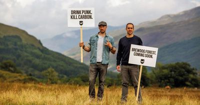 Campaigners to stage protest at BrewDog's Lost Forest - here's why