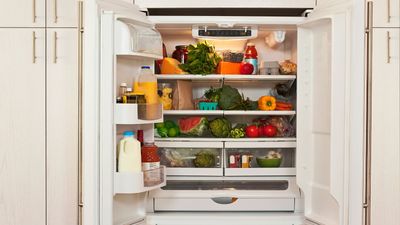 Dollar Tree's $1.50 organizer is a game-changer for small kitchens – it's my secret weapon for a tidy fridge that never smells