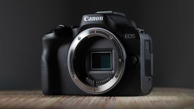 Canon EOS R50 and Sony ZV-E10/ II capture nearly 50% of Japan's top 20 camera sales in June