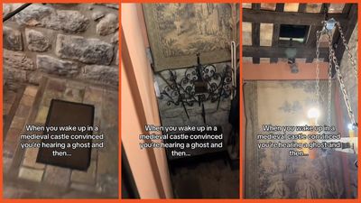 ‘A ghost pretending to make fart noises’: Woman wakes up to ghostly sounds in castle but the reality is furrier and cuter than expected