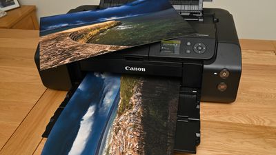 Canon imagePROGRAF PRO-310 review: it’s got a tough act to follow
