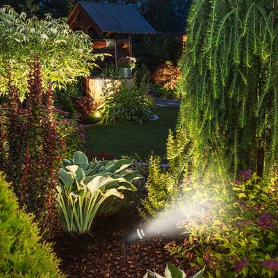Experts share the best ways to secure your garden from thieves and burglary – these are the outdoor security tricks that work