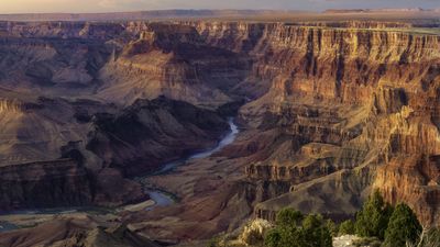 Fatal heat? Man dies trekking in Grand Canyon as authorities warn of "extremely hazardous conditions for hikers"